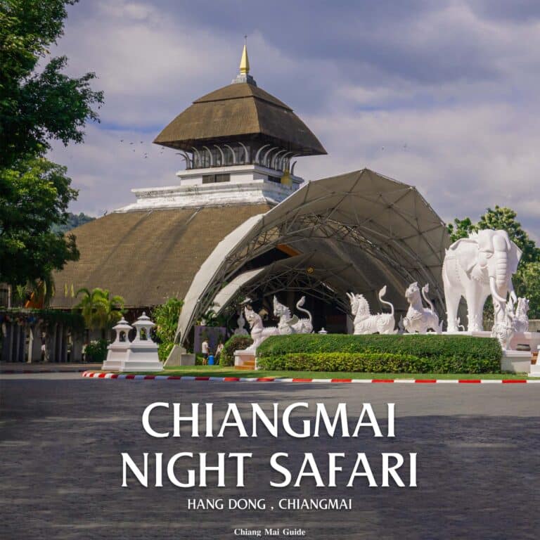 น้องเอวา ที่ chiangmai night safari