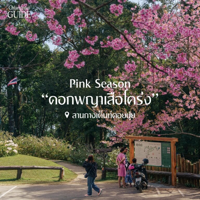 605489697 1310420861127180 5472703657146740967 n- villa sanpakoi