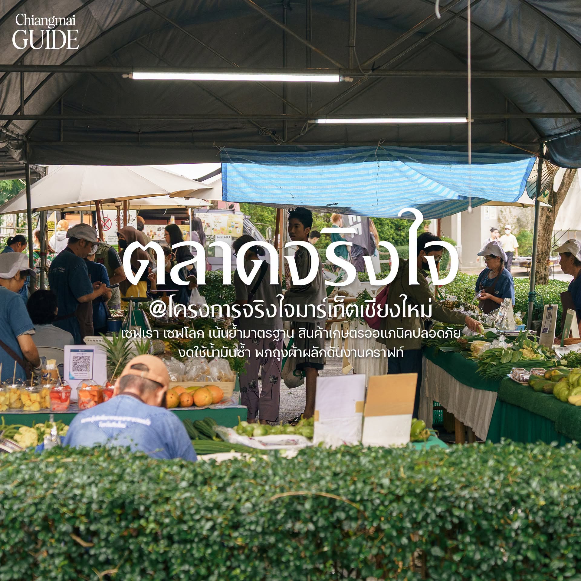 ตลาดจริงใจ 1 773416747 1824596258519354 1864103092847313896 n- villa sanpakoi